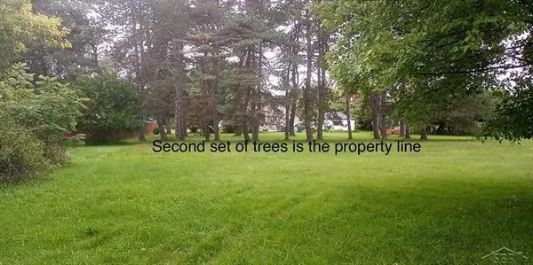 0 Simons ST, Coleman, MI 48618