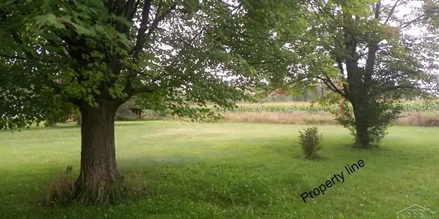 0 Simons ST, Coleman, MI 48618 - #2