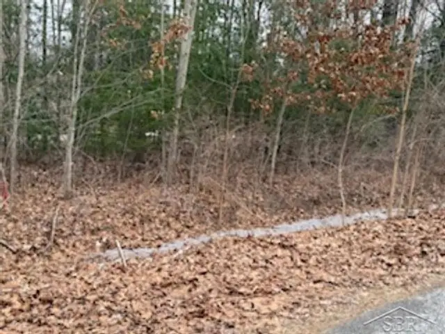 VL N Anna LN, Sanford, MI 48657 - Image #3