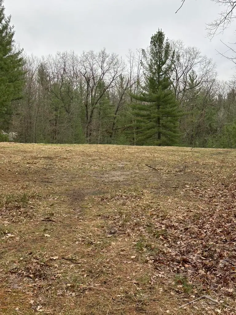 VL Pineview CT, Alger, MI 48610 - Image #1