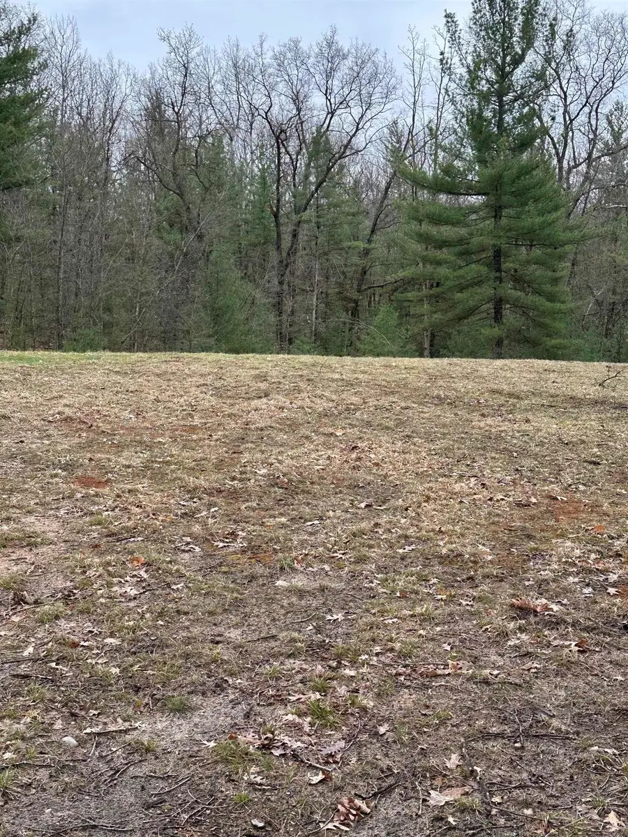 VL Pineview CT, Alger, MI 48610 - Image #2