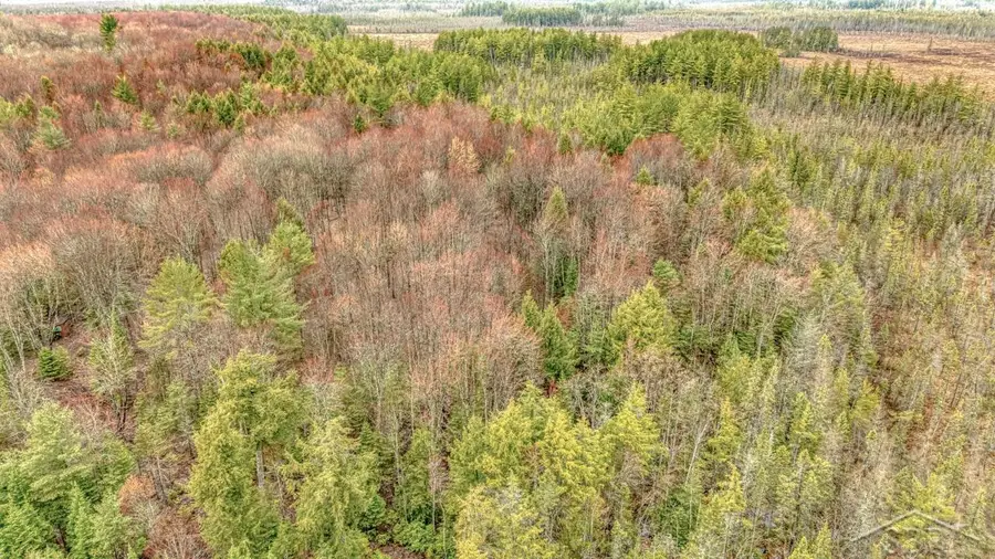 N948 Old Plank RD, Wetmore, MI 49895 - Image #2