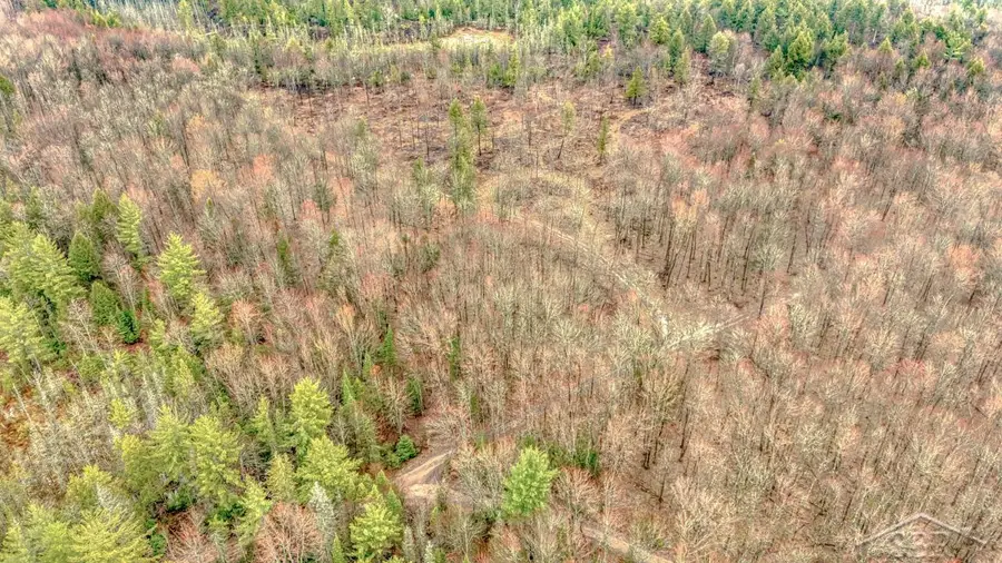 N948 Old Plank RD, Wetmore, MI 49895 - Image #3