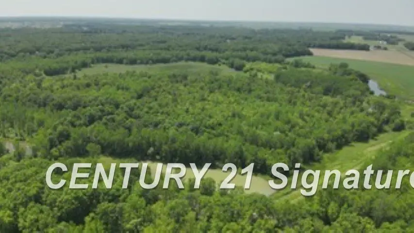 2000 Sloan RD, Taymouth Township, MI 48415 - Image #3