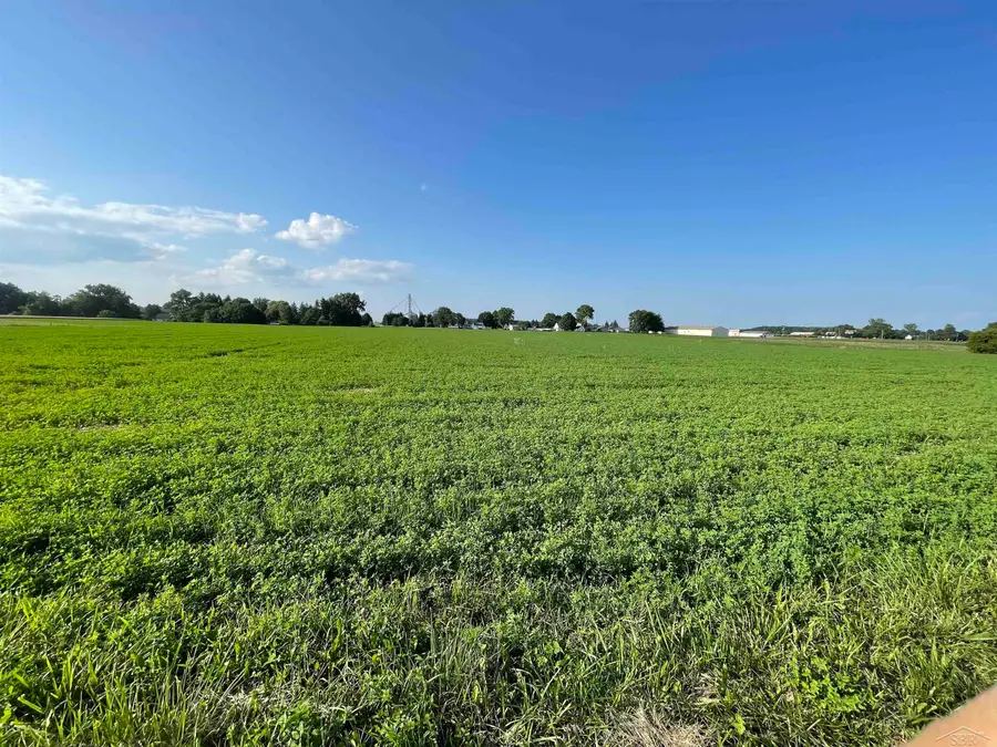 0 W Tuscola RD, Frankenmuth, MI 48734 - Image #3