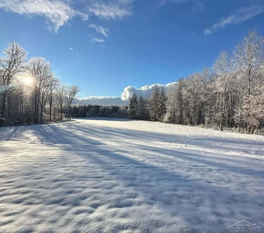 12465 Fergus RD, Saint Charles Township, MI 48655 - Image #2