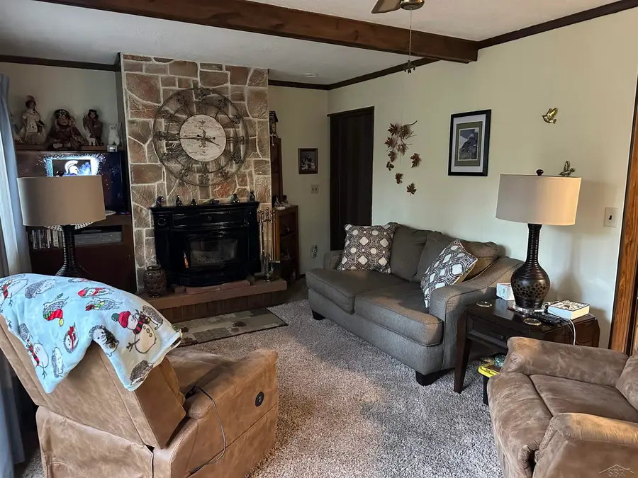 2832 Creekview DR, Grayling, MI 49738 - Image #3