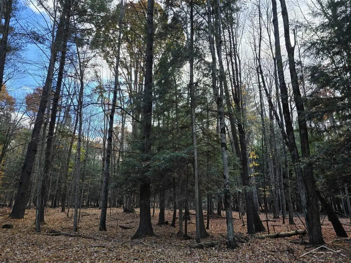 9191 Deerfield CT, Stanwood, MI 49346 - #1