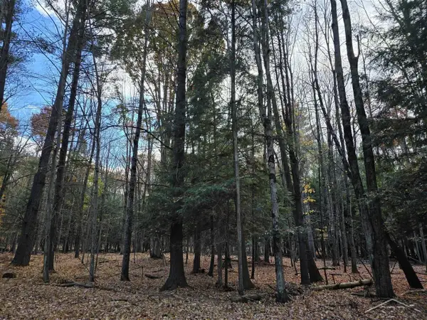 9191 Deerfield CT, Stanwood, MI 49346