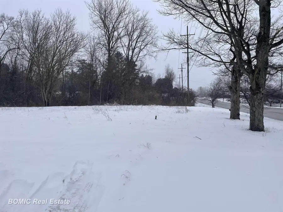 475 Goodrich ST, Vassar, MI 48768 - #2