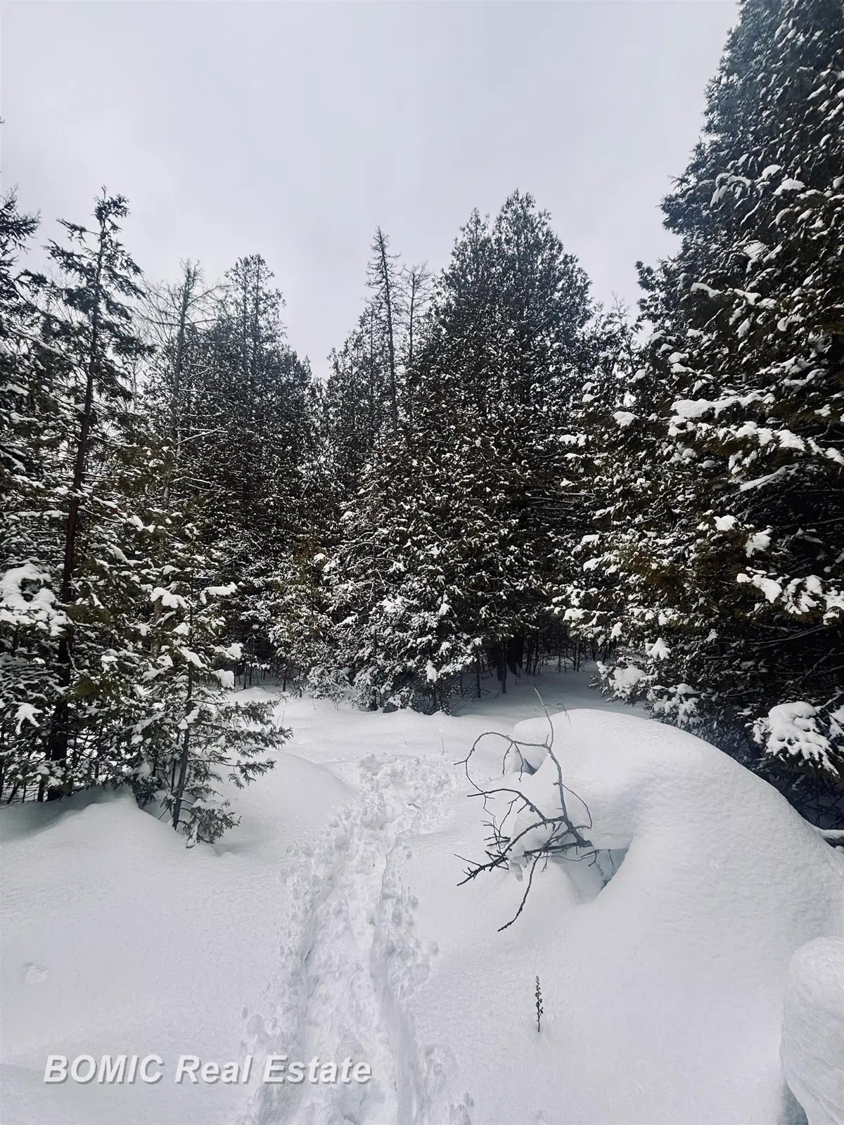 20130 E N Caribou Lake RD, Detour, MI 49725 - #1