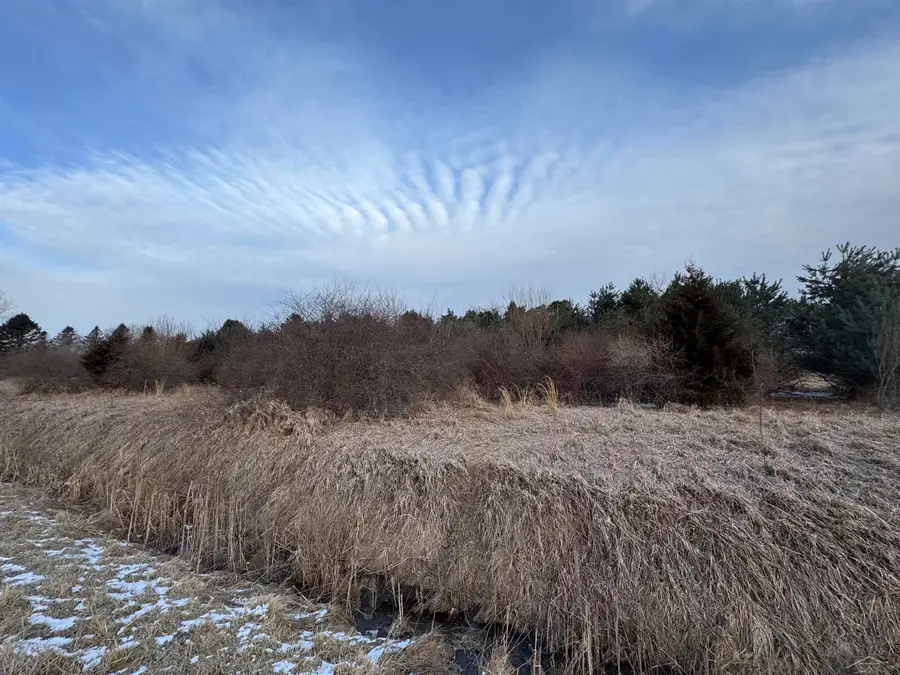 W Burt RD, Chesaning, MI 48616 - #2