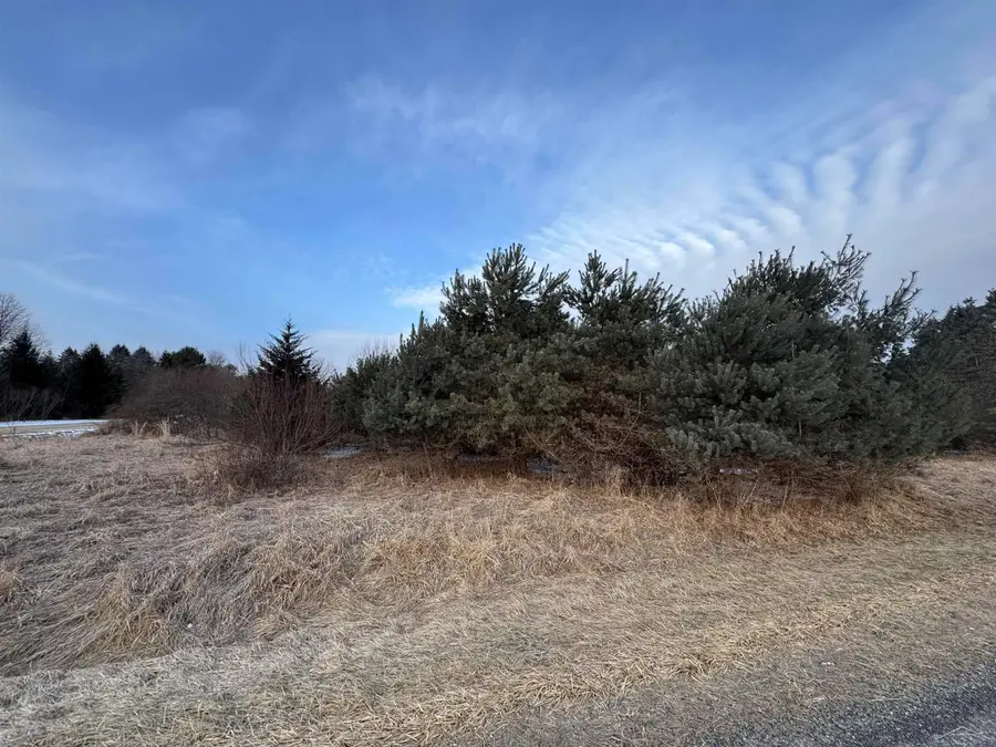 W Burt RD, Chesaning, MI 48616 - #3