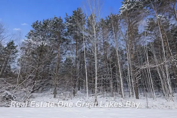 2528 N Englehart RD, CassCity, MI 48726