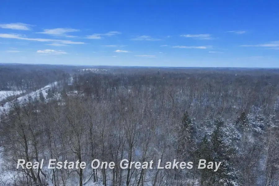 2528 N Englehart RD, Novesta, MI 48726 - #2