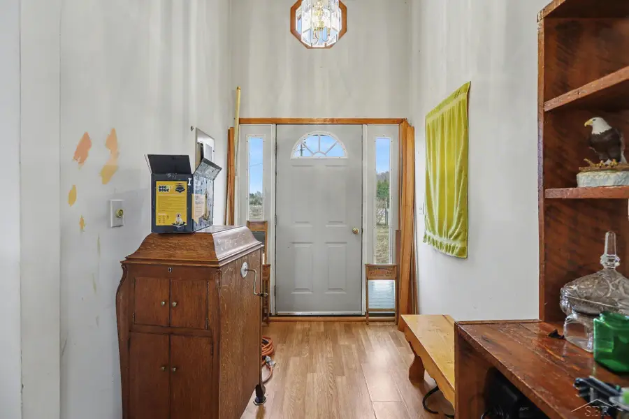 1742 W Moorestown RD, Pioneer, MI 49651 - #3