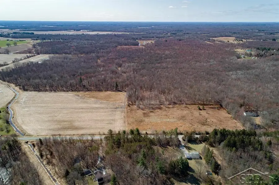 West 80 Acres Grabowski RD, Fremont, MI 48655 - #2
