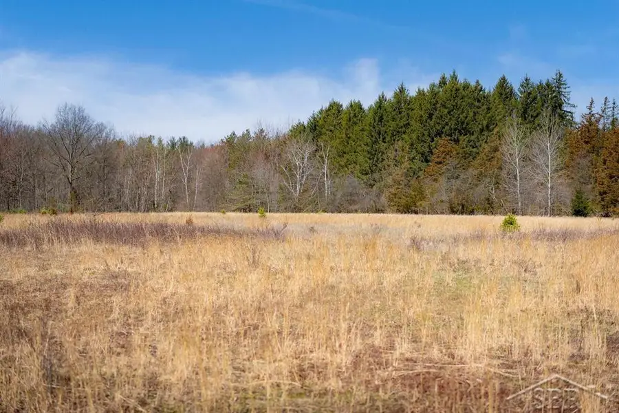 West 80 Acres Grabowski RD, Fremont, MI 48655 - #3