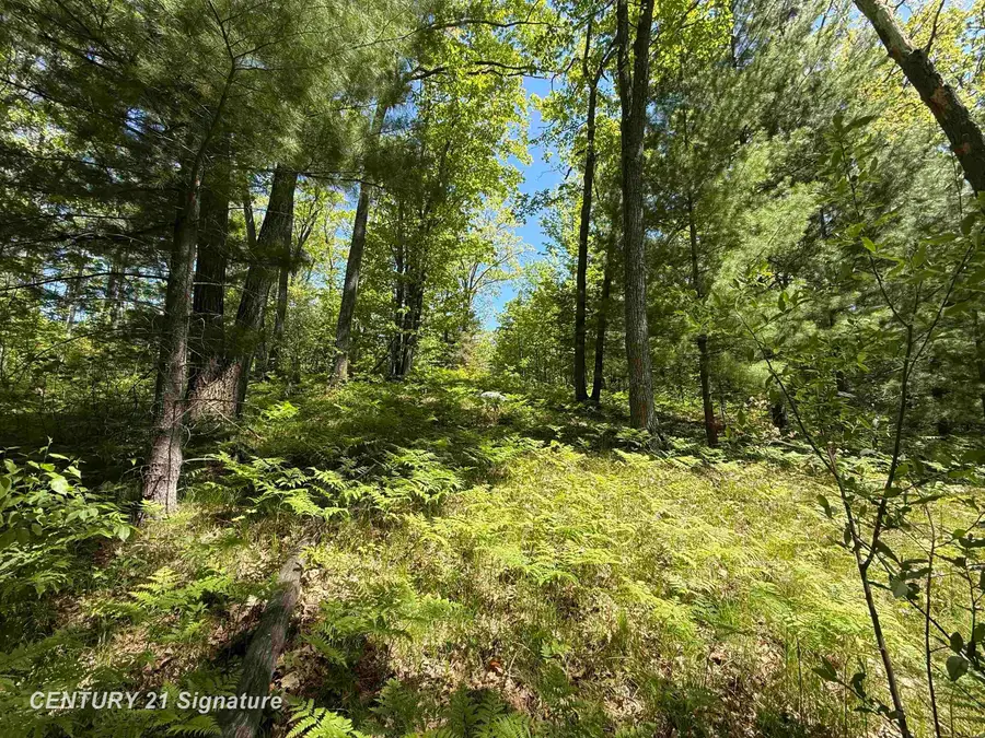 981 E Cranberry Lake RD, Harrison, MI 48625 - #2