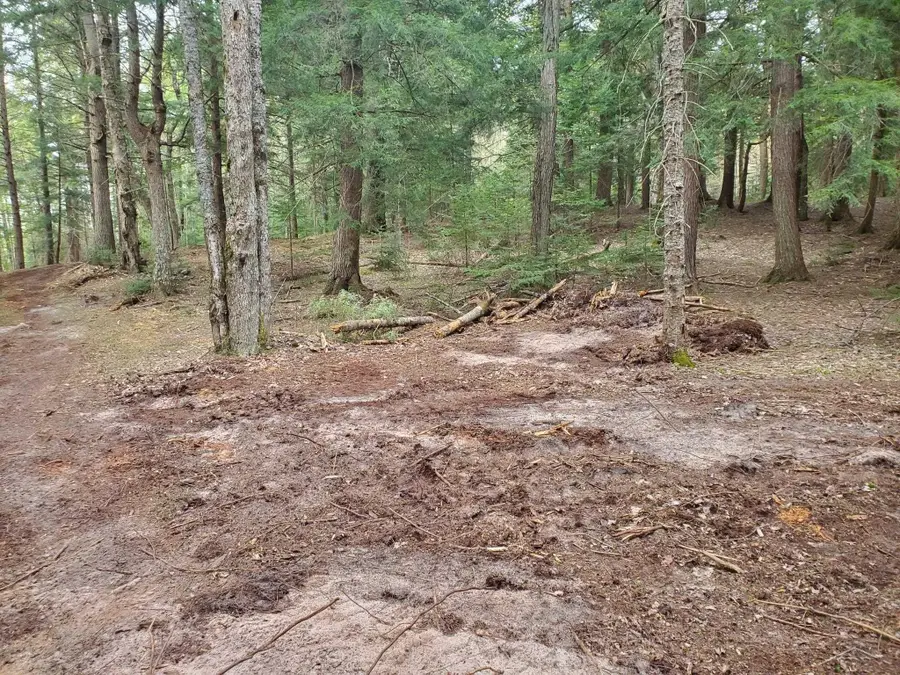 Old Plank RD, Wetmore, MI 49895 - #2