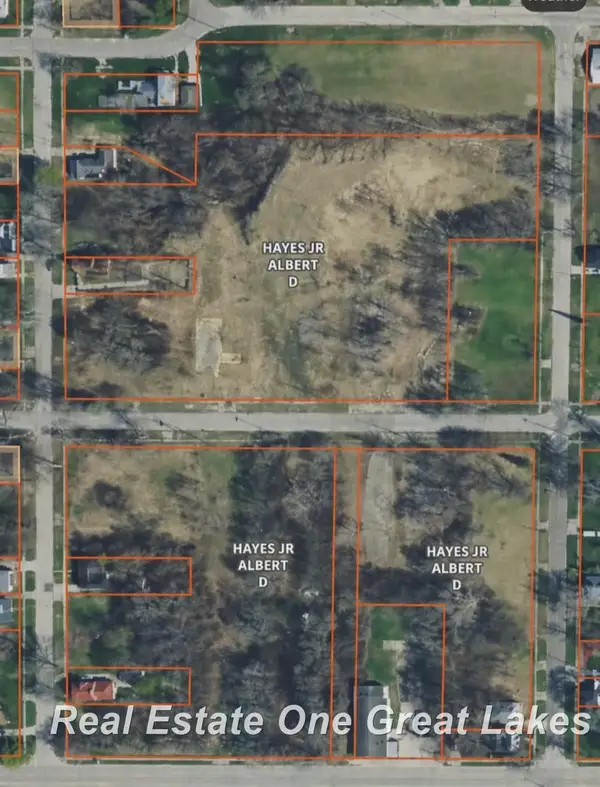 1317 S Park AVE, Saginaw, MI 48601
