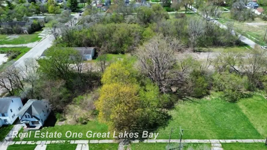 1317 S Park AVE, Saginaw, MI 48601 - #3