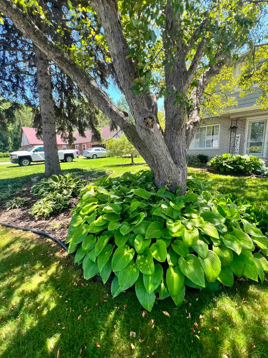 1947 Crescent, Saginaw, MI 48604 - #2