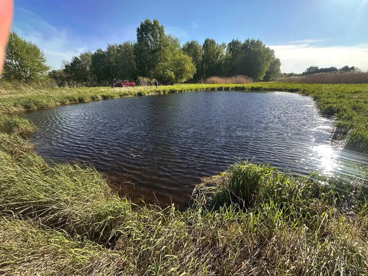 9999 Barnes RD, Mayville, MI 48744 - #1