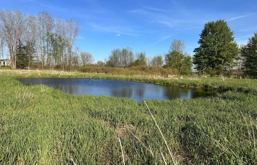 9999 Barnes RD, Mayville, MI 48744 - #3