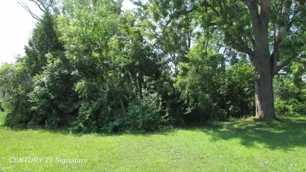 Parcel A Gratiot RD, Saginaw, MI 48638