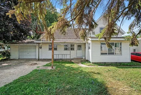 217 W Chestnut ST, Breckenridge, MI 48615