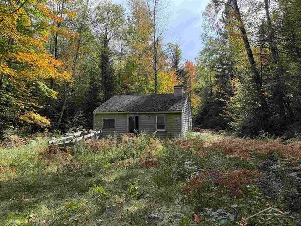 3350 Moorestown RD, LakeCity, MI 49651
