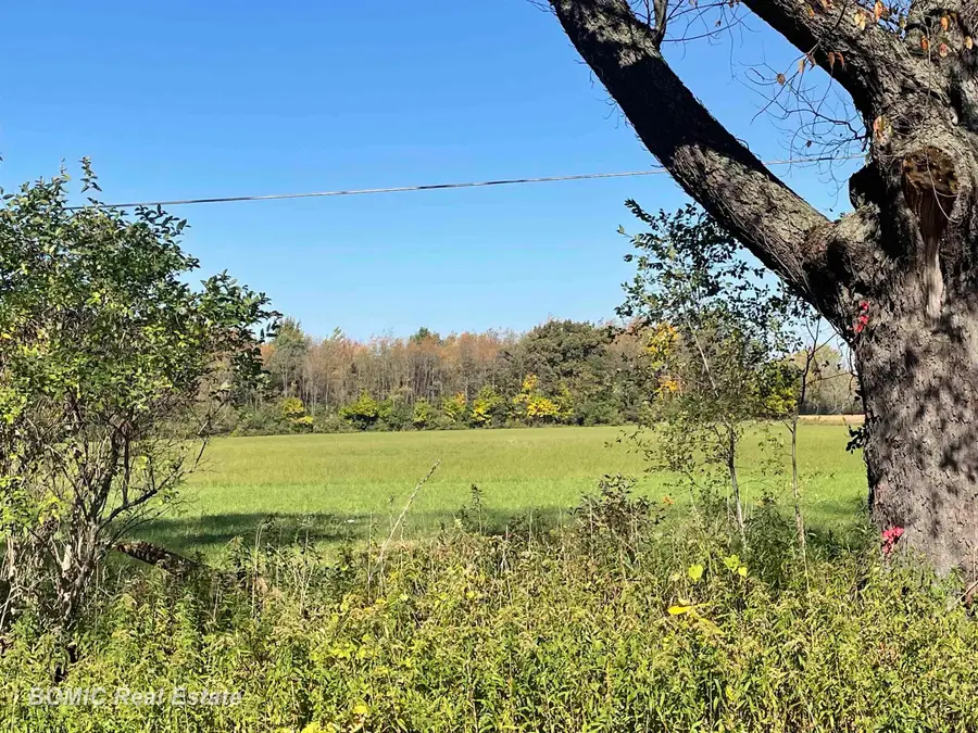 8900 Birch Run RD, Millington, MI 48746 - #2