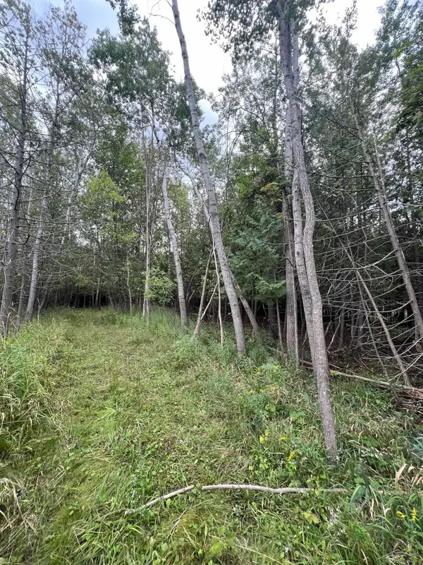 Lot 19 Crane ST, BoyneCity, MI 49712