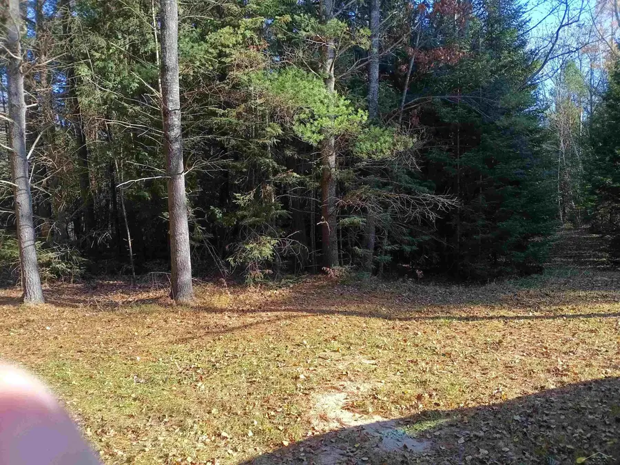 Chipway, Roscommon, MI 48653 - #2