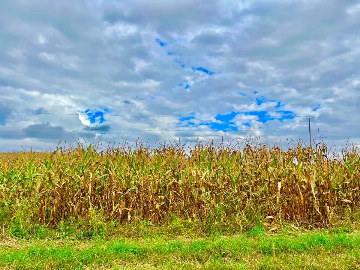 0 Crampton Road, Hillsdale, MI 49242 - Image #1