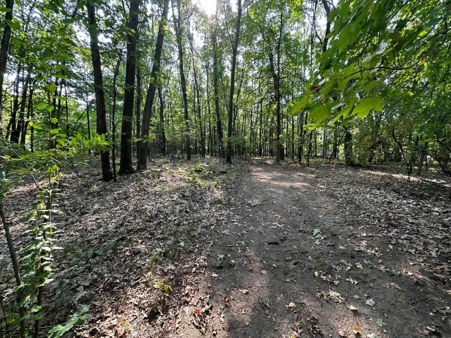 000 N 5 Mile Road, Leroy, MI 49017 - Image #2