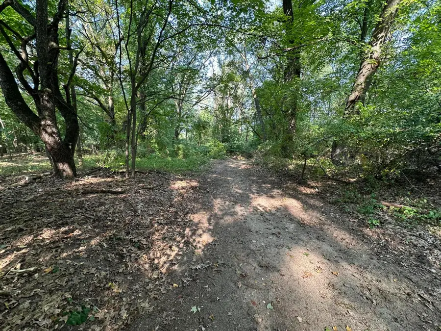 000 N 5 Mile Road, Leroy, MI 49017 - Image #3