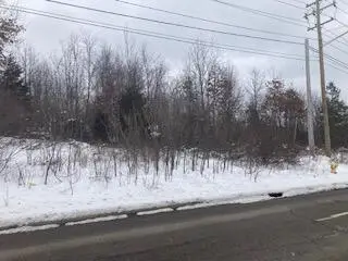 Beckley Road, Emmett, MI 49014 - Image #2