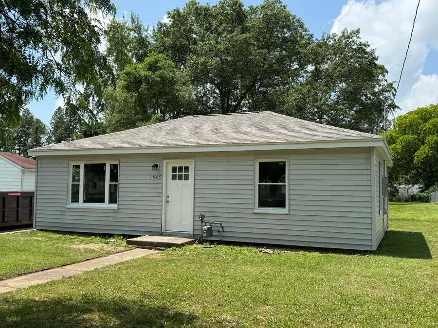 1009 N Mingo Street, Albion, MI 49224 - #2
