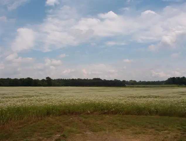 2154 17 Mile Road Unit: Parcel A, Tyrone, MI 49330 - Image #3