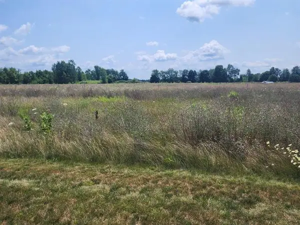 3615 S State Road, Ionia, MI 48846