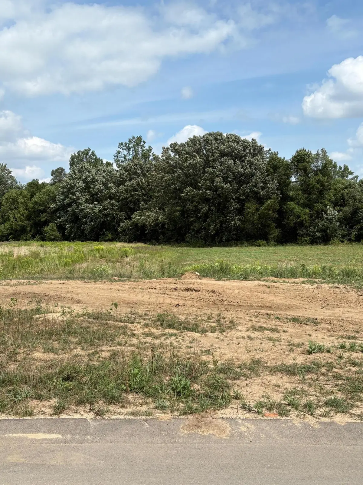 10780 Windward Avenue SW, Byron Township, MI 49315 - Image #1