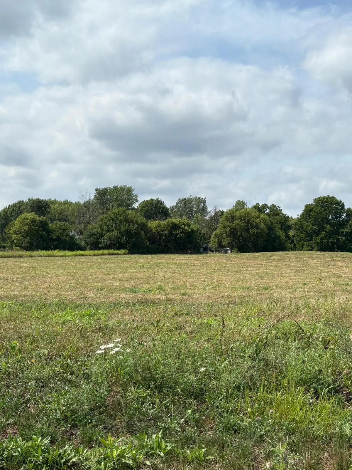 10711 Windward Avenue SW, Byron Township, MI 49315 - Image #1