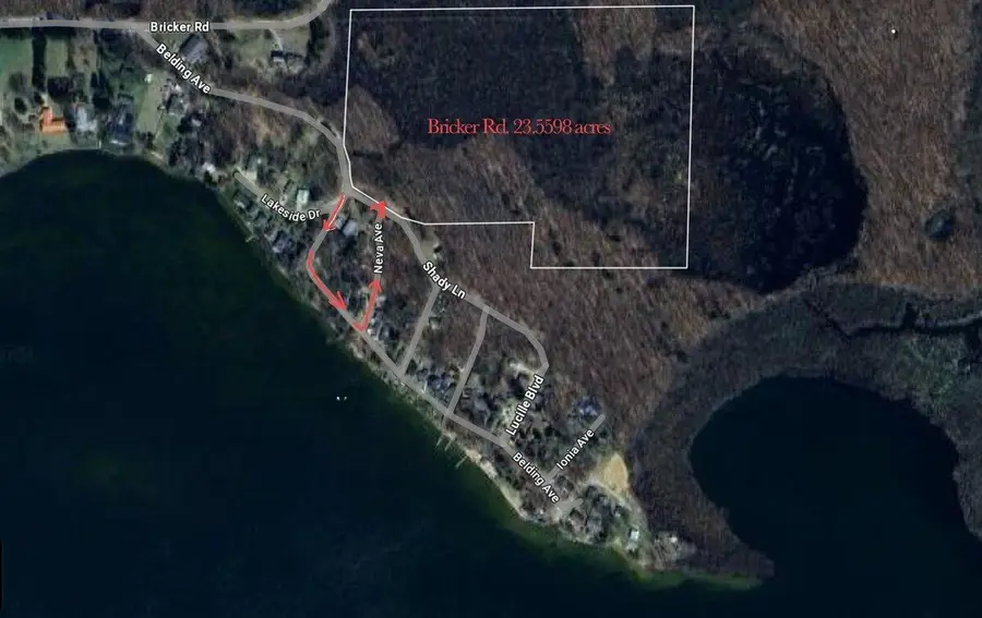 V/L Shady Lane, Fenwick, MI 48834 - Image #3