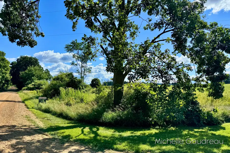 VL Gibson Farms Drive Unit: Parcel 9, Middleville, MI 49333 - Image #3