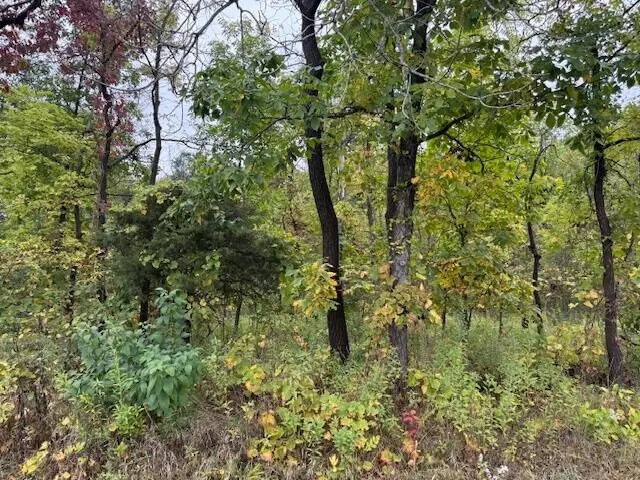 600 Fero Avenue NE, Lowell, MI 49331 - Image #3