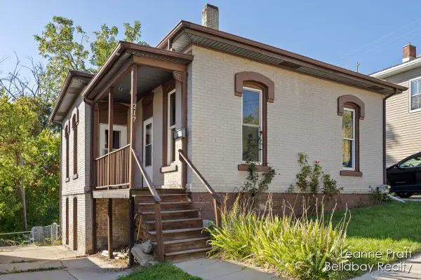 217 Dye Street, Ionia, MI 48846