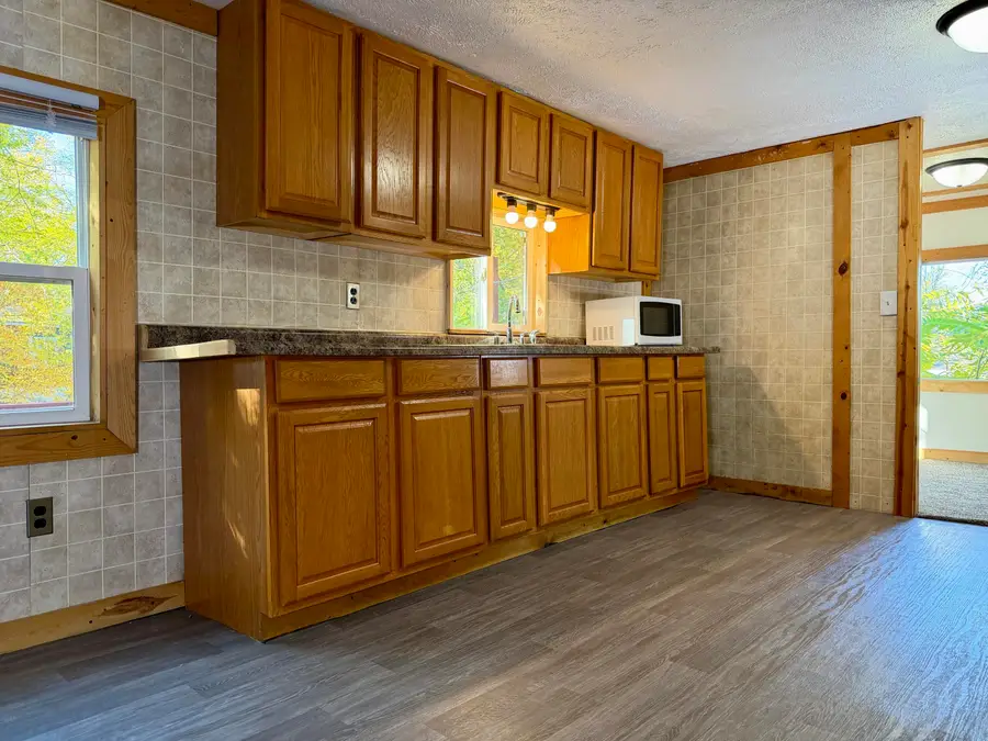 2565 Lapo Road, Odessa Township, MI 48849 - Image #3