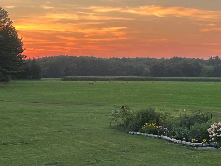 13609 84th Avenue, Coopersville, MI 49404 - #3